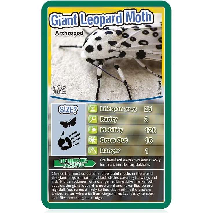 Winning Moves Bugs Top Trumps Card Game (ENGLISH) – Bild 4