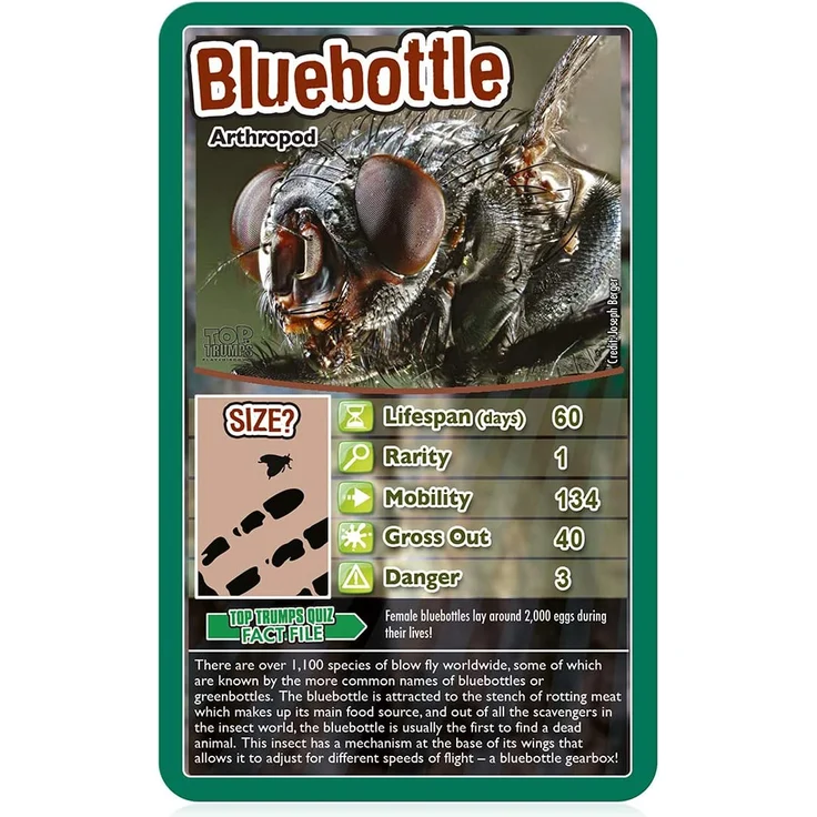 Winning Moves Bugs Top Trumps Card Game (ENGLISH) – Bild 2