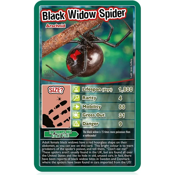 Winning Moves Bugs Top Trumps Card Game (ENGLISH) – Bild 3