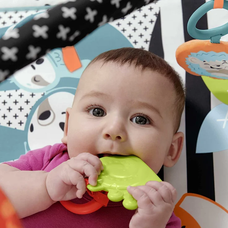 Fisher-Price Tierfreunde Kontrast-Spieldecke – Bild 9