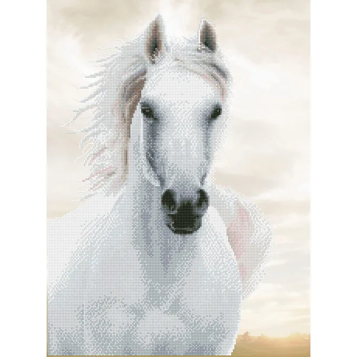 Pracht Creatives Hobby DD10-026 Diamond Dotz weißer Hengst, funkelndes Diamantenbild zum Selbstgestalten, ca. 48 x 65 cm groß, Malen mit Diamanten, Neuer und kreativer Basteltrend, bunt