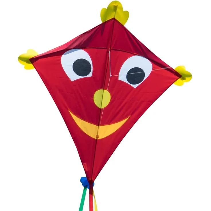 CIM Großer Kinder-Drachen - SUPER Drachen Happy Eddy XL - Einleiner Flugdrachen für Kinder ab 6 Jahren - 102x108cm - inklusiv Drachenschnur und Streifenschwänze