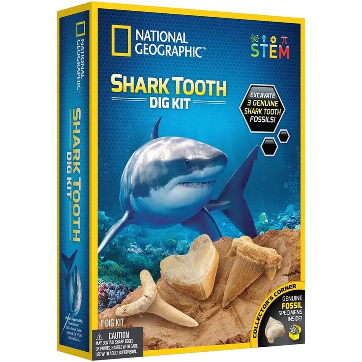 BANDAI NGSHARK National Geographic – Ausgrabungsset – 3 versteinerte Haifischzähne zum Ausgraben – Bildungs- und Wissenschaftsspiel – STEM – JM00604