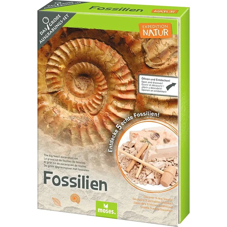 Expedition Natur, Das große Fossilien-Ausgrabungs-Set, von moses