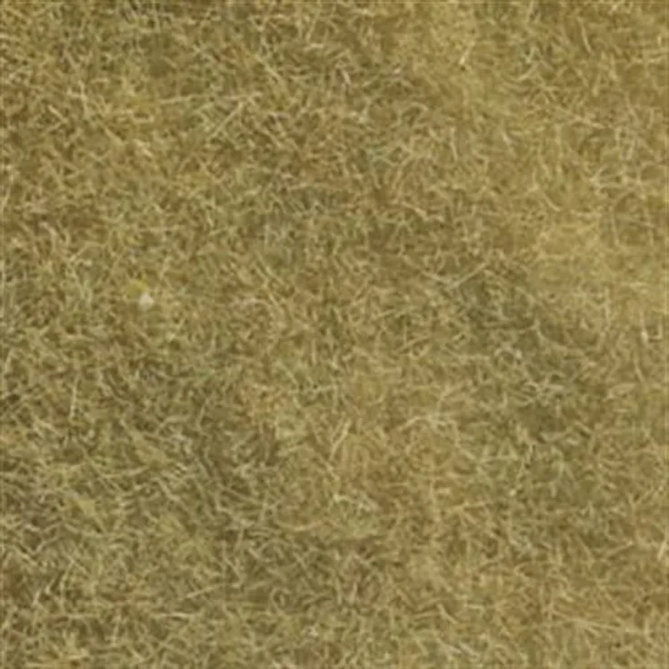 Noch 07101 - Wildgras, beige