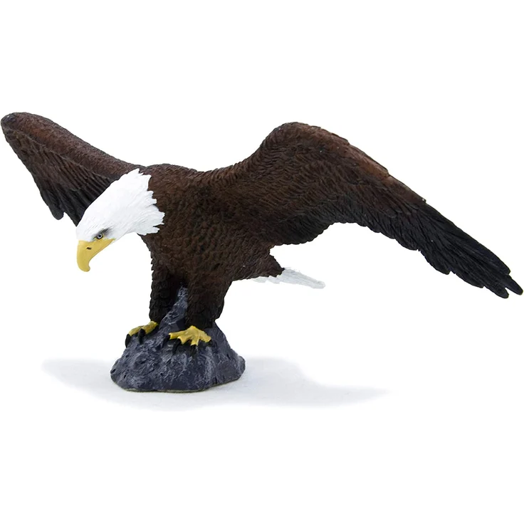 Science4you – Figur Weißkopfseeadler, Kunststoff, Größe L (759.0) – Bild 1