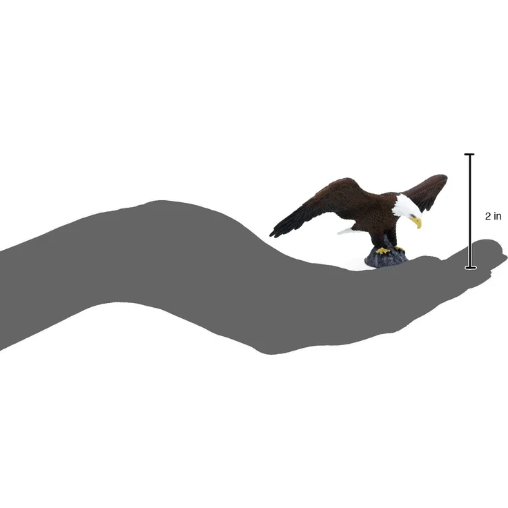 Science4you – Figur Weißkopfseeadler, Kunststoff, Größe L (759.0) – Bild 2