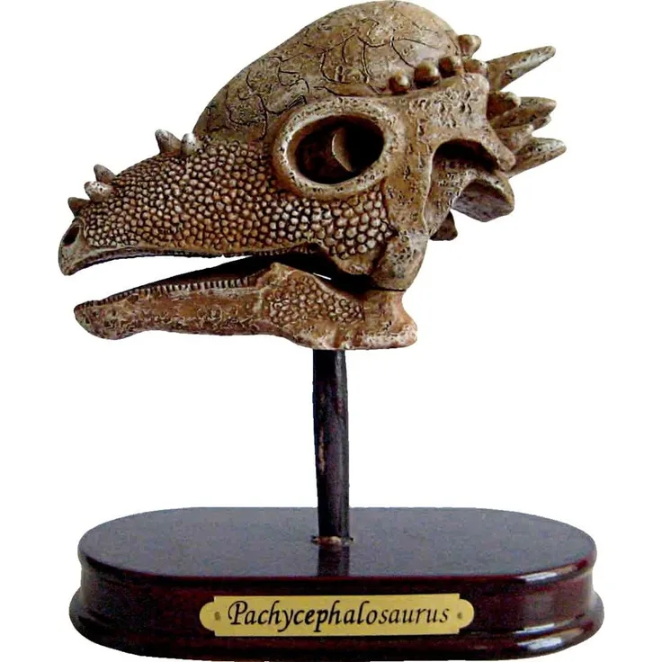 Die Spiegelburg - Ausgrabungsset Dinoschädel Pachycephalos, T-Rex World, ab 5 Jahren