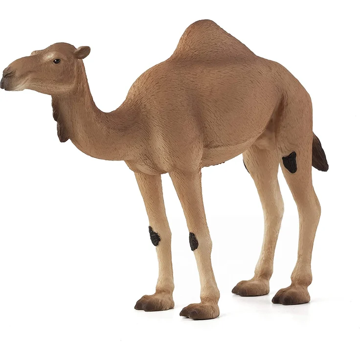 Mojö Wildlife - Dromedar - Spielfigur 387113 – Bild 1