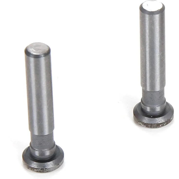 TEAM LOSI RACING Scharnierstifte, 4 x 21 mm TiCN (2): 8IGHT 4. 0