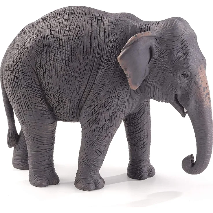 MOJO Asiatischer Elefant Tiermodell Spielzeugfigur