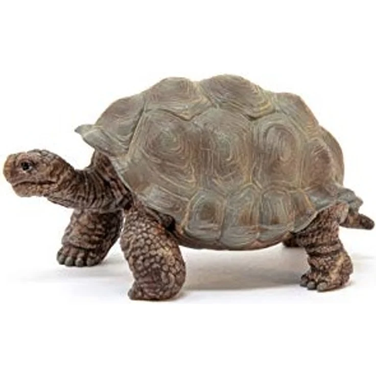 Schleich Spielfigur Riesenschildkröte - Preisvergleich – Bild 4