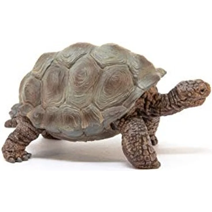 Schleich Spielfigur Riesenschildkröte - Preisvergleich – Bild 5