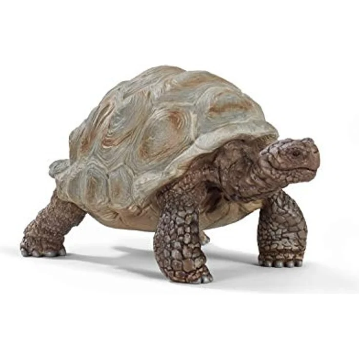 Schleich Spielfigur Riesenschildkröte - Preisvergleich – Bild 1