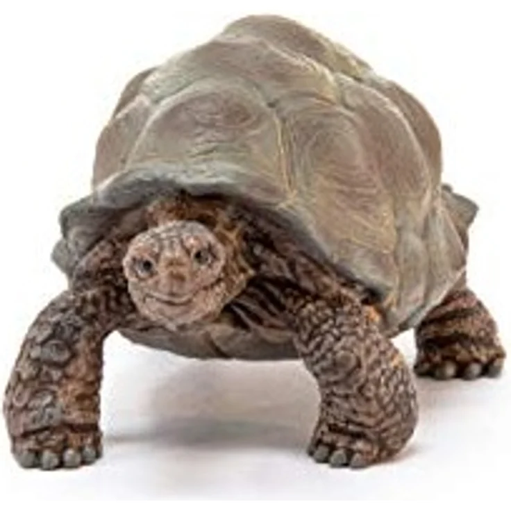 Schleich Spielfigur Riesenschildkröte - Preisvergleich – Bild 3