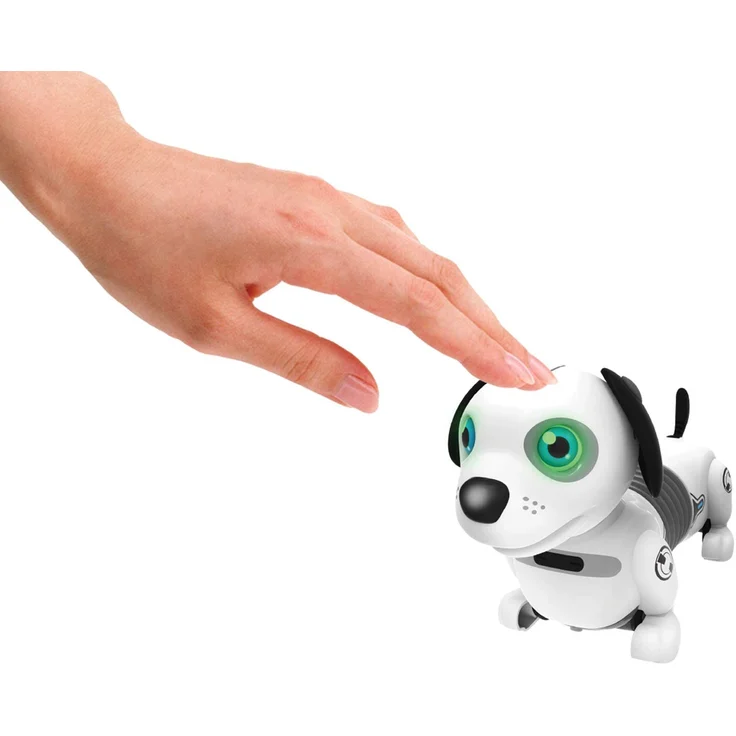 JUNIOR ROBO DACKEL – Bild 5