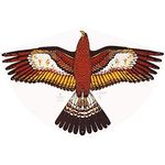 Paul Günther 1180 - Kinderdrachen mit Goldadler Motiv, Einleinerdrachen aus robuster PE-Folie mit verstellbarer Drachenwaage, für Kinder ab 4 Jahre mit Wickelgriff und Schnur, ca. 92 x 62 cm groß