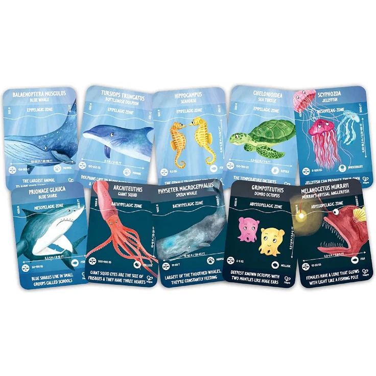 Hape Puzzle Leben im Ozean – Bild 4
