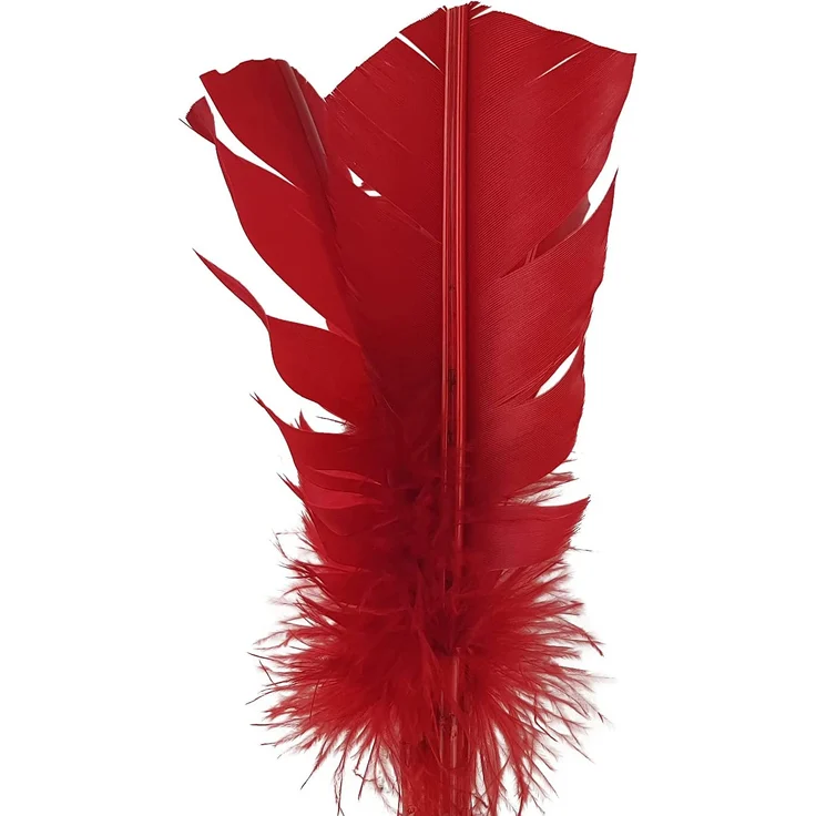 Indiaca-TURNIER – Bild 4