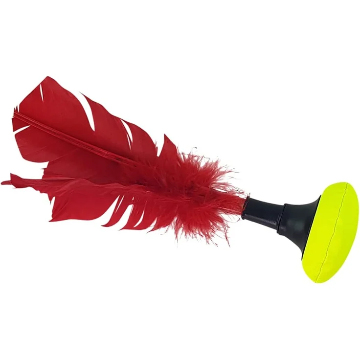 Indiaca-TURNIER – Bild 6