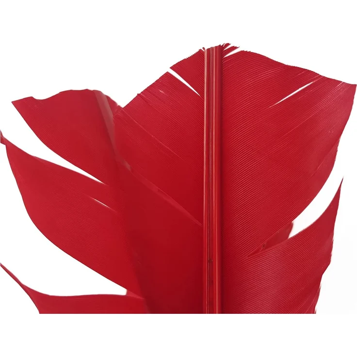 Indiaca-TURNIER – Bild 5