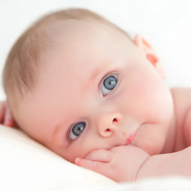 GRÜNSPECHT Bio-Fettwolle zur Pflege empfindlicher Babypopos und beanspruchter Brustwarzen, Schafwolle mit hohem Lanolingehalt, wiederverschließbare Spenderbox (638-00) – Bild 5