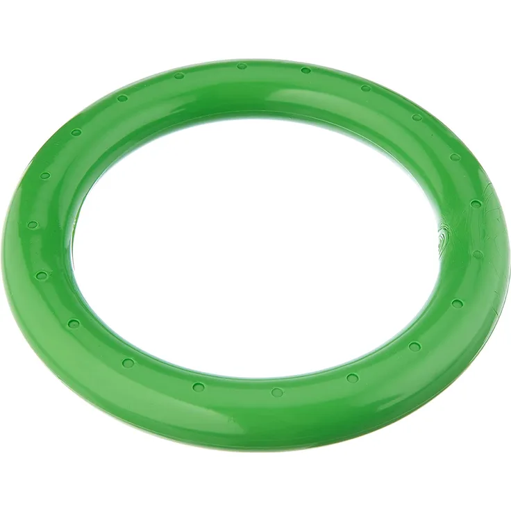 BECO Kinder Schwimmring, Wurfring Wasserspielzeug massiv Tauchring, grün, One Size