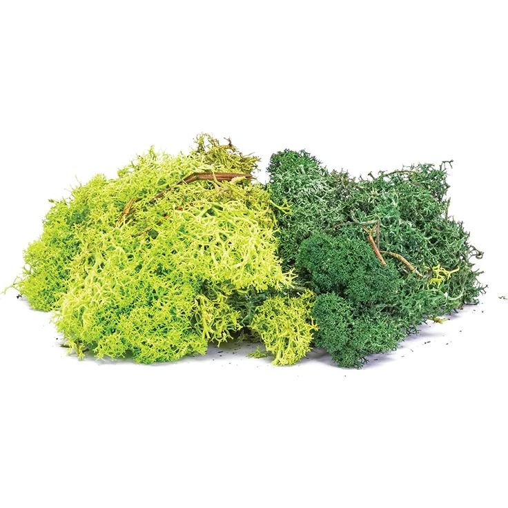 Humbrol R7194 Skale Scenics Lichen - Green Mix