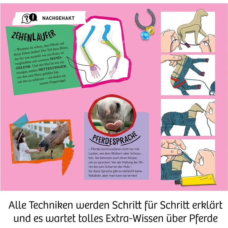 Traum-Pferd – Bild 4