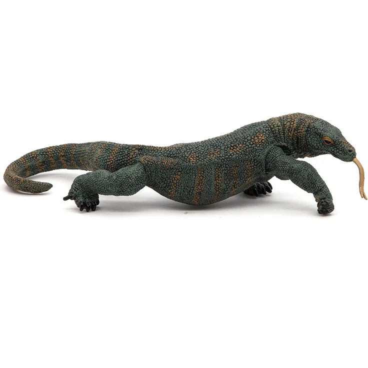 Komodowaran Papo – Bild 4
