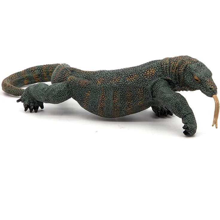 Komodowaran Papo – Bild 5