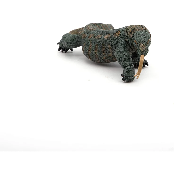 Komodowaran Papo – Bild 6