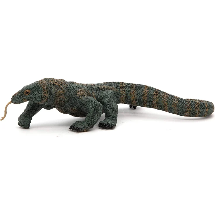 Komodowaran Papo – Bild 1
