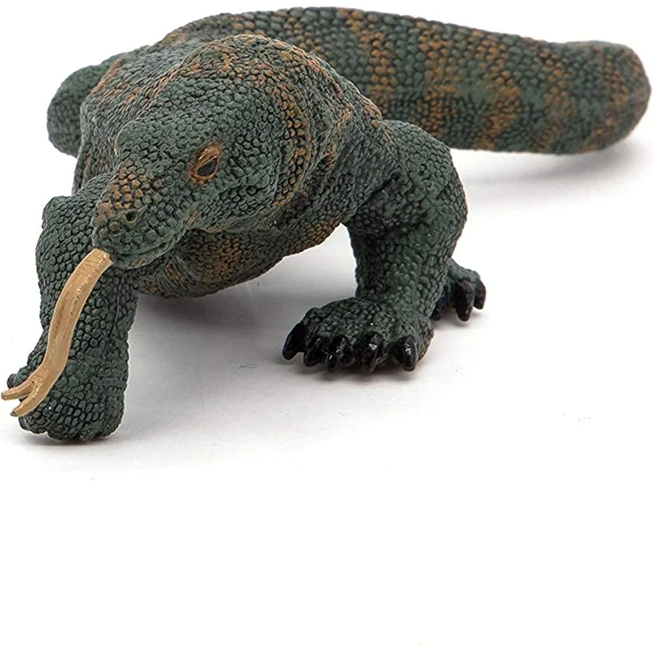 Komodowaran Papo – Bild 7