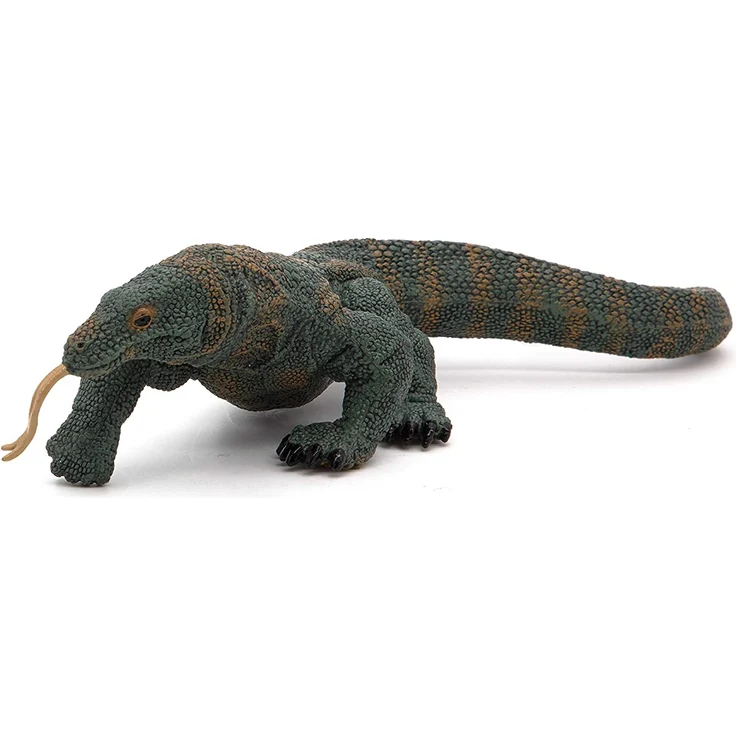 Komodowaran Papo – Bild 8