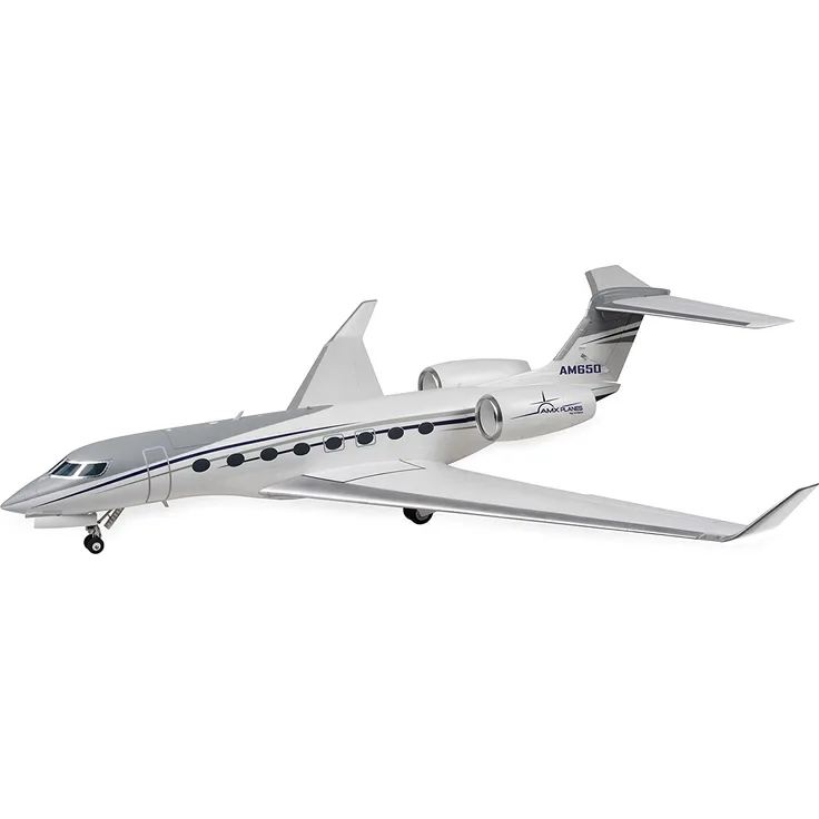 Amewi AMXPLANES AM650 BUSINESS-JET 1766MM PNP