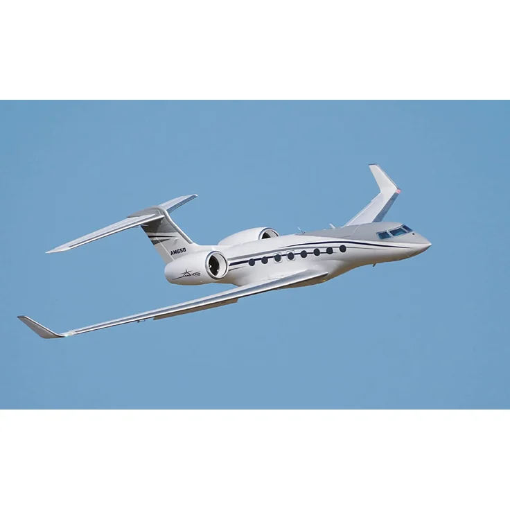 Amewi AMXPLANES AM650 BUSINESS-JET 1766MM PNP – Bild 2