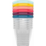 Babymoov Babybols Aufbewahrungsbehälter für Babynahrung, hermetischer Drehverschluss, 6-teilig, 250 ml