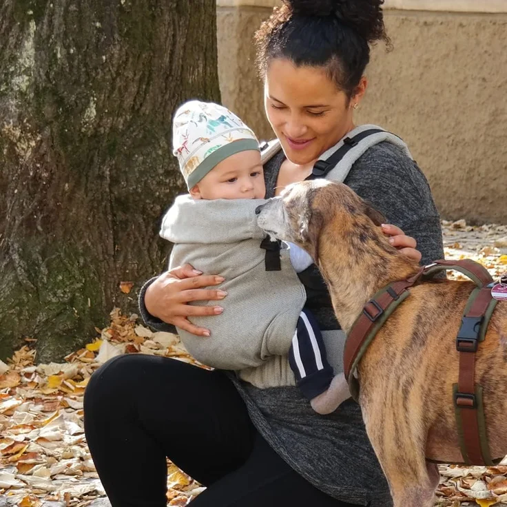 Didymos DidyFix Babytrage - Fullbuckle Tragehilfe in Silber - für Neugeborene ab Geburt von 50-86 cm - ergonomische Sitzhaltung - Bauchtrage - Hüfttrage - Rückentrage – Bild 6
