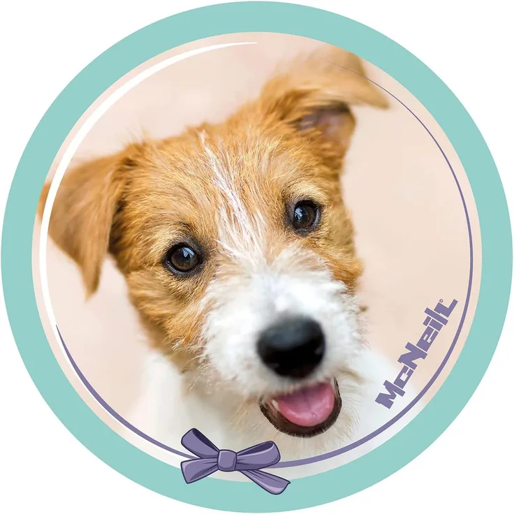 McNeill McAddys zu Schulranzen Haustiere Hund grün