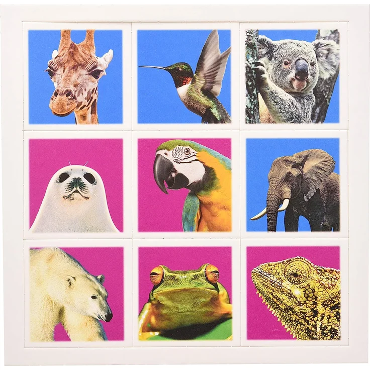 Wildlife Memo Game, Multicolor – Bild 3