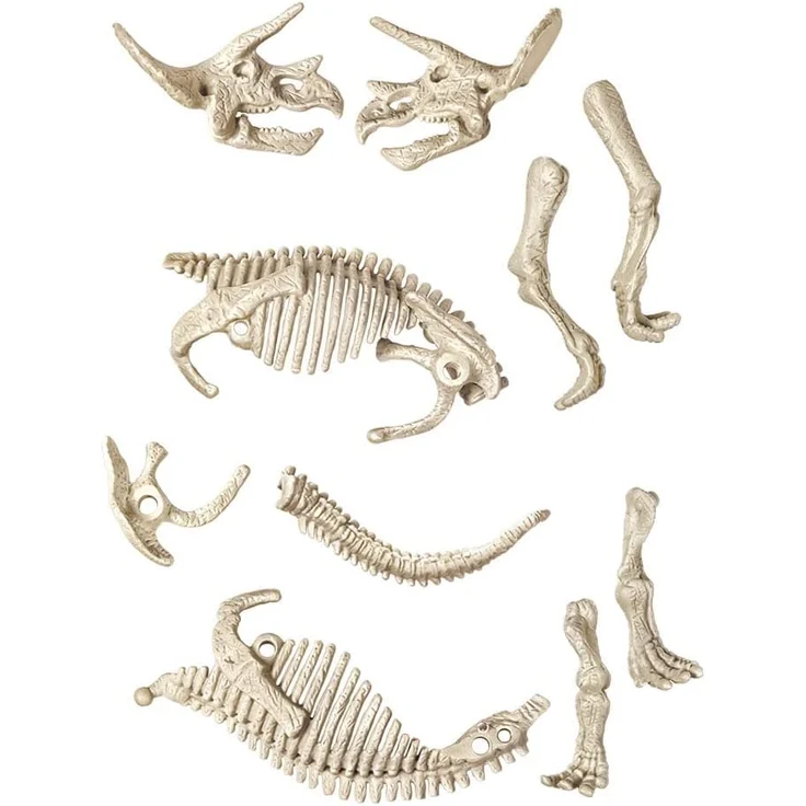 Clementoni Ausgrabungs-Set Triceratops – Bild 5