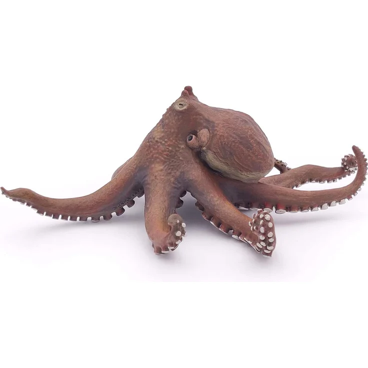 Krake Papo – Bild 4