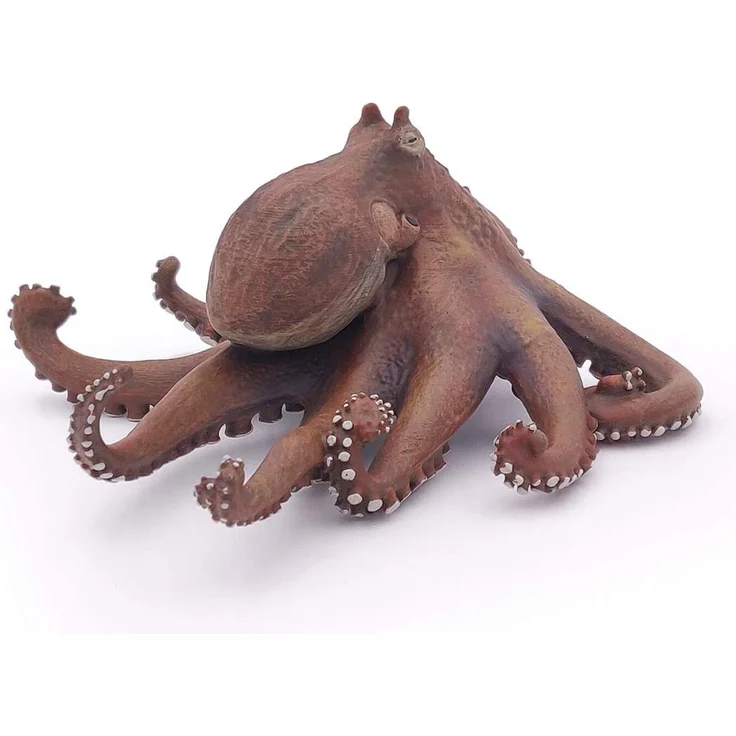 Krake Papo – Bild 5
