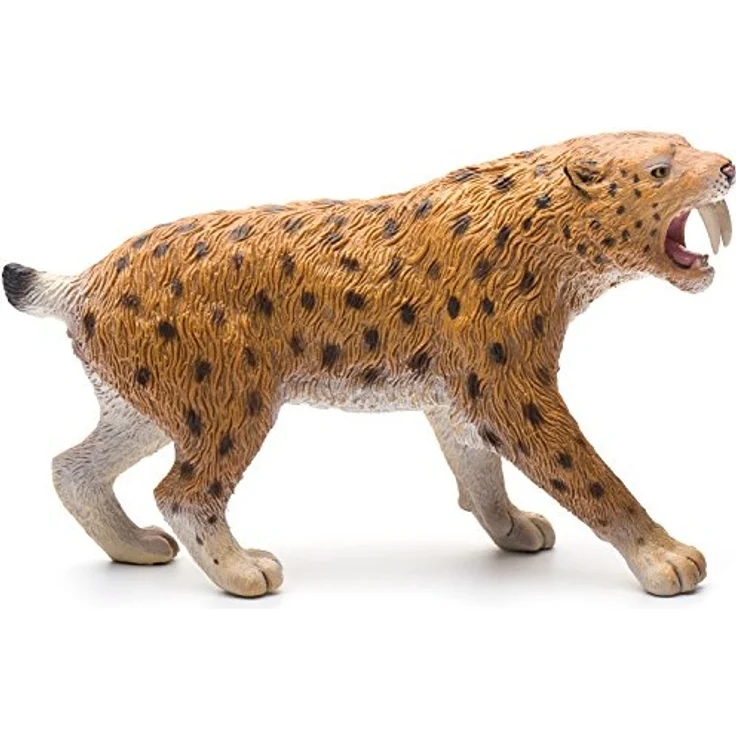 Smilodon XL – Bild 4
