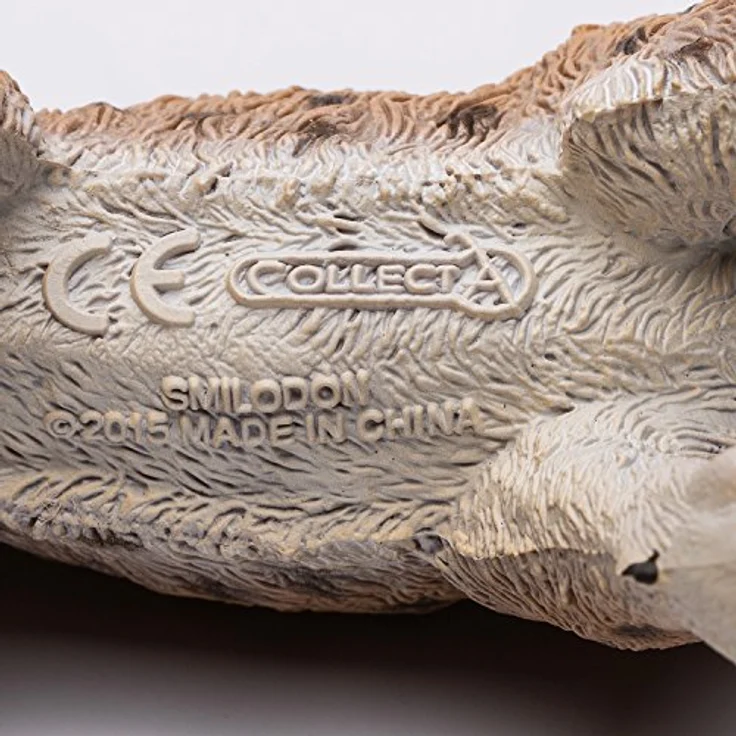 Smilodon XL – Bild 5