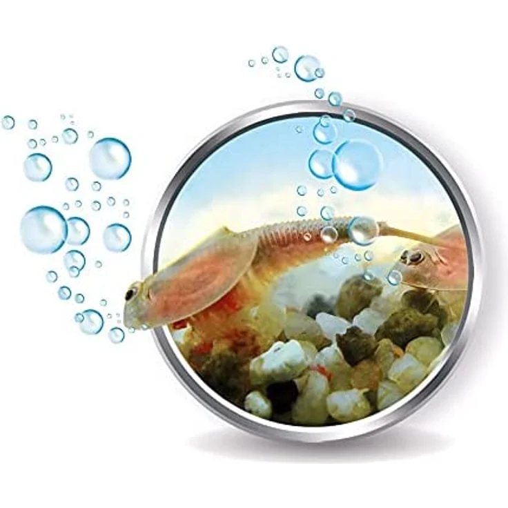 Clementoni 59259 Galileo Lab – Original Triops Starter-Set, Züchten & Beobachten von Urzeitkrebsen, Spielzeug für Kinder ab 8 Jahren, neues Modell 2021, Biologie zu Weihnachten – Bild 5