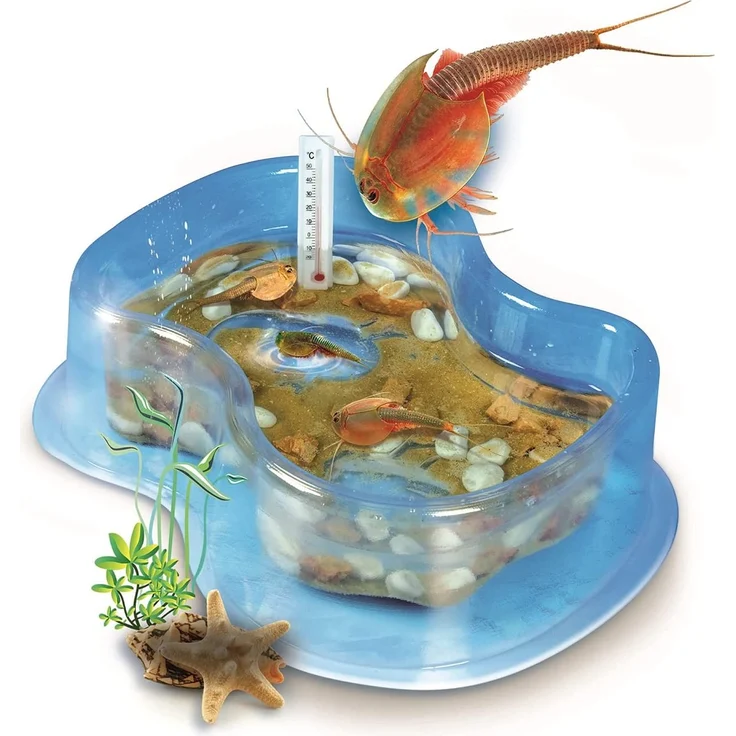 Clementoni 59259 Galileo Lab – Original Triops Starter-Set, Züchten & Beobachten von Urzeitkrebsen, Spielzeug für Kinder ab 8 Jahren, neues Modell 2021, Biologie zu Weihnachten – Bild 2