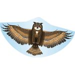 Paul Günther 1193 - Kinderdrachen mit Eulen Motiv, Einleinerdrachen aus robuster PE-Folie mit verstellbarer Drachenwaage, für Kinder ab 4 Jahre mit Wickelgriff und Schnur, ca. 122 x 68 cm groß