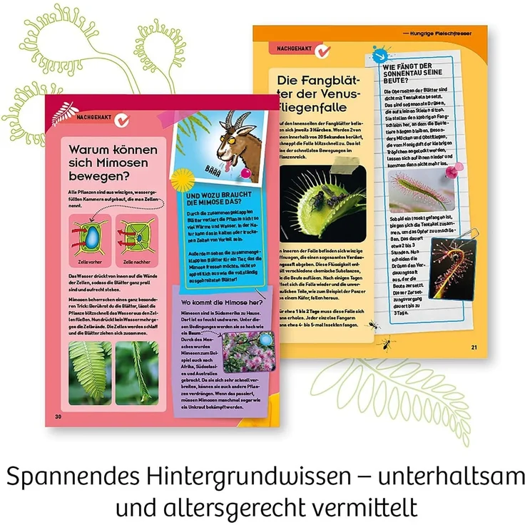 KOSMOS 632137 Fleischfressende Pflanzen, Insektenfresser selbst anpflanzen, Komplett-Set Anzucht-Station, Samen, Erde, Pipette, Experimentierkasten für Kinder ab 8 Jahren zu Garten, Biologie, Natur – Bild 5